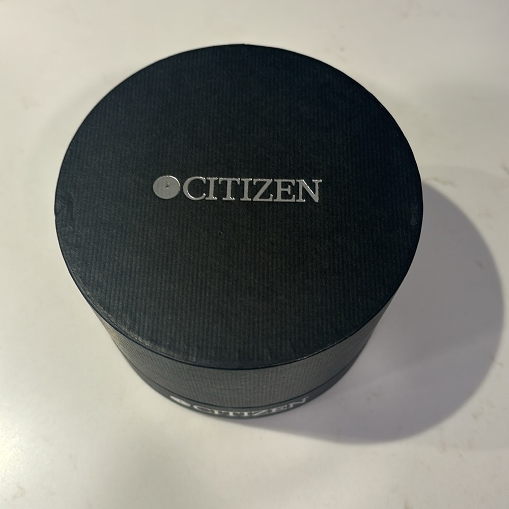 Men’s Citizen Watch View 4